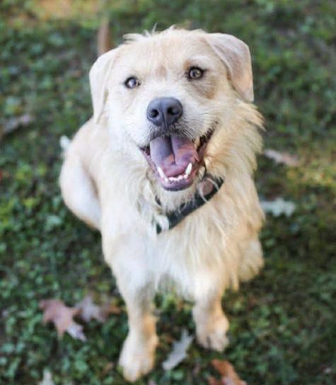 Winn Dixie *COMING SOON*